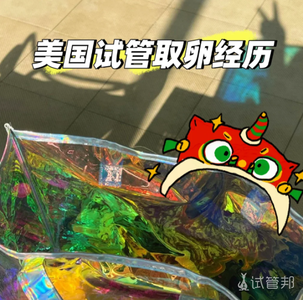 95b2a8ae766869e02516ddbb61f8aace.png 在美国做试管婴儿的取卵经历分享给大家