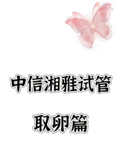 回顾取卵经历，时间真的过的好快