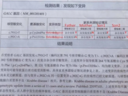 PGD筛查就1个合格，没想到移植成功了