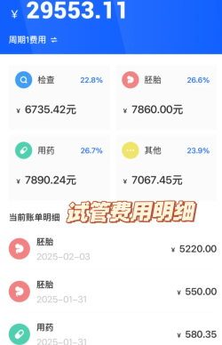 一促一移怀上试管婴儿双胞胎，费用明细分享