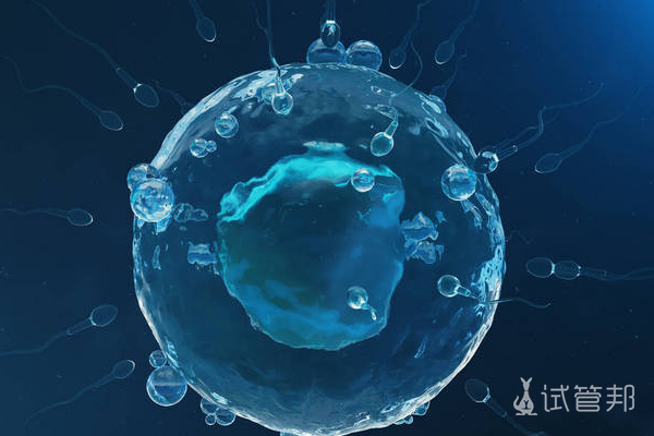 f97a6a9d49e52c7b0274f275a81e0238.png 取卵无麻醉能忍受吗