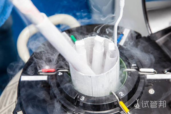 0716c2fff82be9086dac0375931b1888.png 冷冻胚胎移植成功率能达到多少