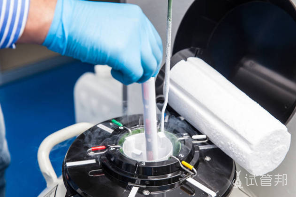 1c76d2f252e43ed7de5b4d2a4625bcec.png 冷冻胚胎后多久能移植