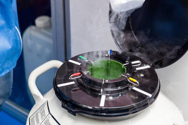 4903e0a00f673b39a074649d0db93e5a.png 冷冻胚胎移植后多久会着床