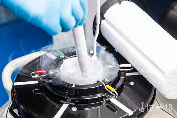 6da5b7bb24730a771137a19519d780e3.png 冷冻胚胎过程是怎样的