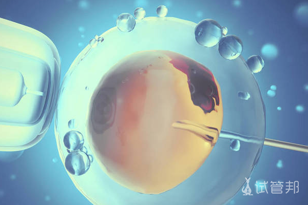 ae989eac85399d26c3f60702ca929f09.png 取卵后多久能移植