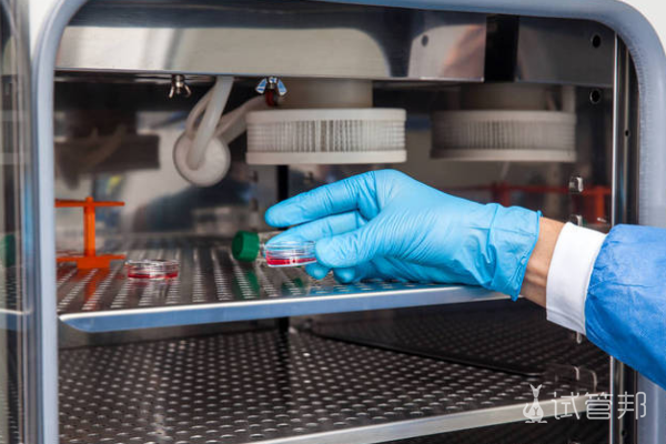 b004d923cbf7354de9cc396b632447ce.png 冷冻胚胎移植需要满足什么条件