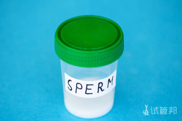 829d69493a7fafd52043852992365b2a.png 精子成活率低饮食禁忌有哪些