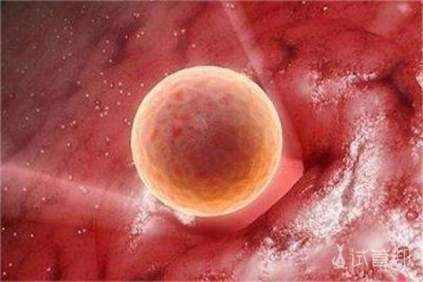 26419f6ba94795d58eb3665371320b59.jpeg 卵泡多大就算成熟了/