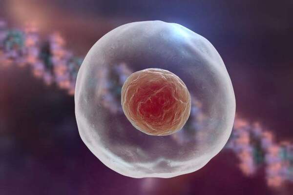 卵泡多大算成熟同房可以怀孕