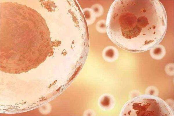 680892698e8513137dbbef5e347ac386.jpeg 促排卵时卵泡多大算成熟