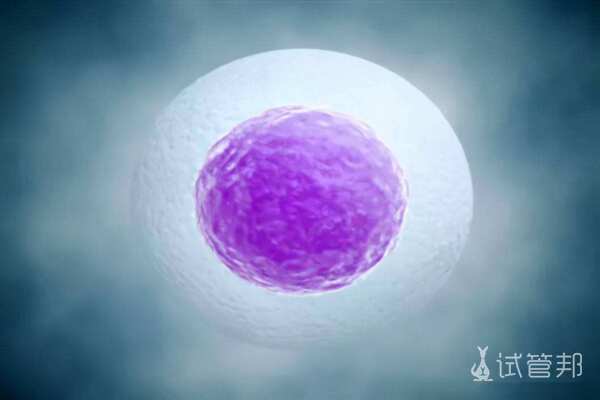 b792fddcb9ce03b591cc1ba5f2197cc4.jpeg 卵泡多大算成熟能备孕