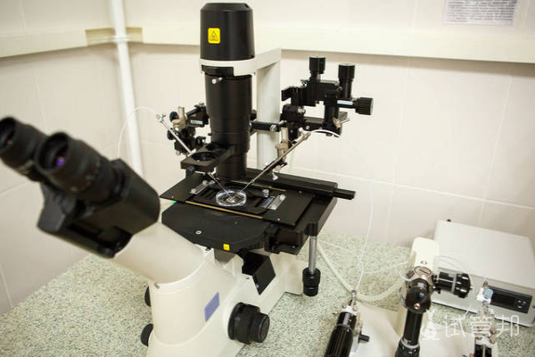 64db40118ed650e8c6fe0b6382006e71.png 美国试管婴儿胚胎移植失败后多久能继续尝试