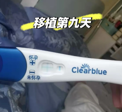 移植后我出现了这些现象，你们有吗？