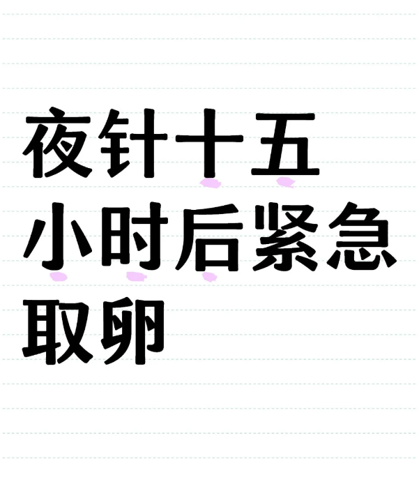 夜针十五小时后紧急取卵结果出来了
