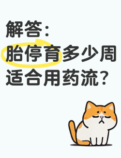 胎停育多少周适合药物流产？建议不要超过这个时间