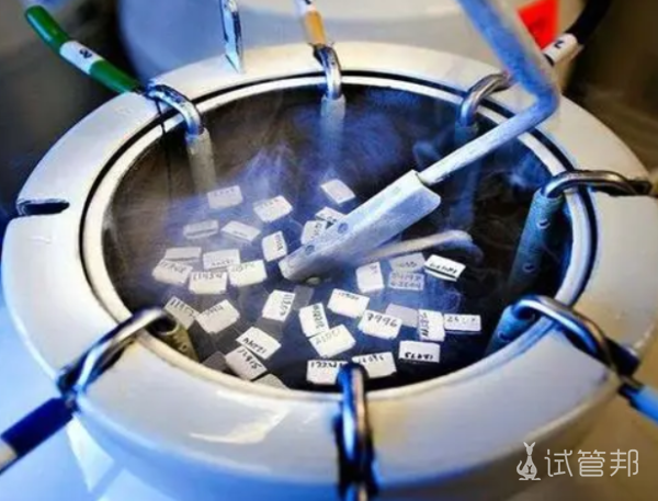 0624b1eecccb7963cf77571abd174774.png 冻胚胎移植成功率高吗