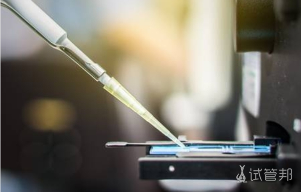 69e9a5ff2aaa18543089f5e996dc9737.jpg 试管婴儿费用明细表