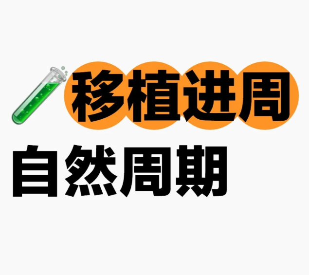 试管婴儿移植后居然还有进周