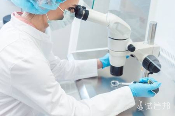 ab0868bf03af143f42523278027ef926.jpg 试管婴儿成功率受哪些因素影响