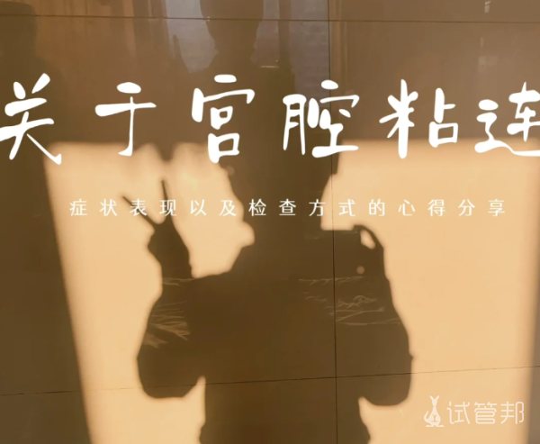 d20f8617a94879ada9b2cfde4c65cc36.png 宫腔粘连有哪些症状