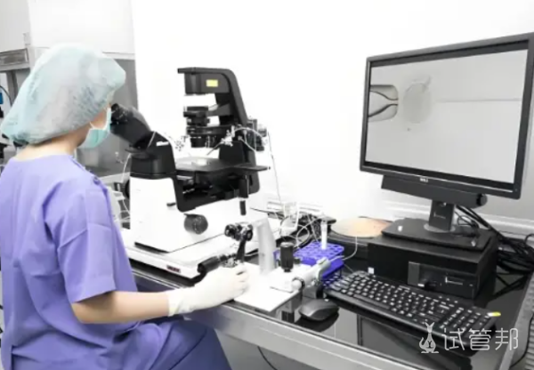 d21794d1453865ca37e4f04862535e0e.png 胚胎移植需要多少钱