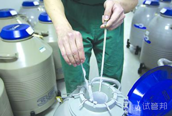 d45d400837ea79eb761036184805a1be.png 试管婴儿费用医保可以报销吗