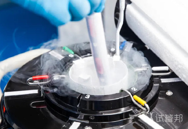 eea8a0f713a8441c22b22a5e1e413795.png 冻胚胎移植前需要做什么检查