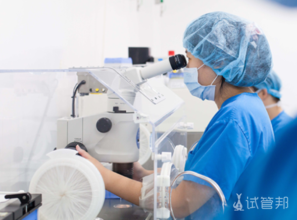 f8caad22854c01d604d235c2cbbb9107.png 移植冻胚的流程是怎么样