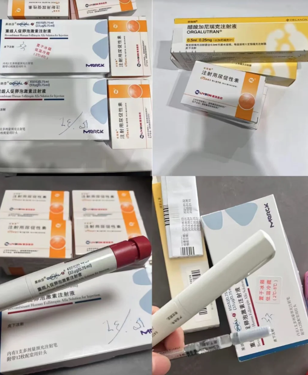 二促二移成功上岸我的促排心得大公开