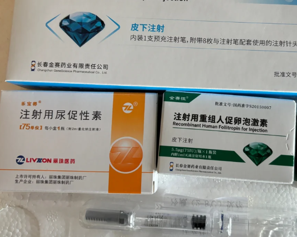 试管之路的“痛并坚持”促排篇