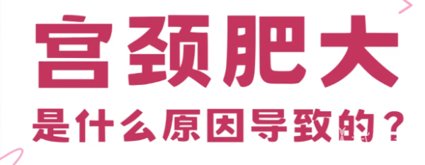 1cf00f34499971cc85daf0feeb5cf80a.png 宫颈肥大是怎么回事