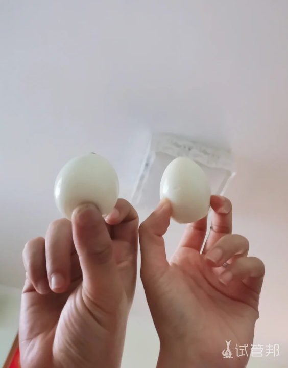 7dcab117a1615cac65c84ec6cebe8215.png 附睾囊肿会不会影响生育