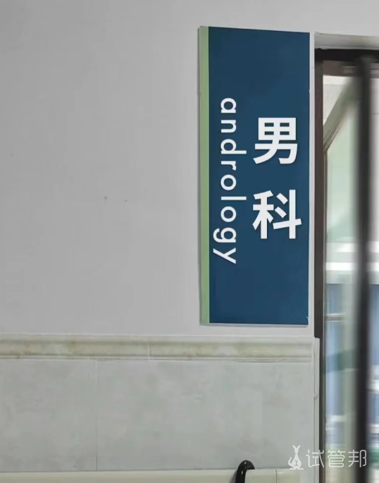 827290e496aa600010e3d3825e60edbf.png 附睾囊肿要怎么治疗