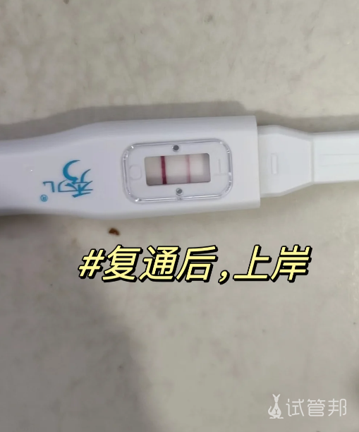 9a4210f7d1cfc565d0299b8c9751a773.png 37岁输卵管复通后备孕1个月怀上二胎