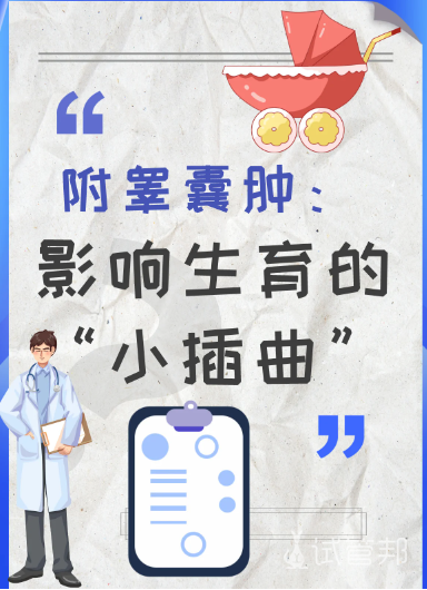 bf01b27efbc4ba7906846df2bba9a151.png 附睾囊肿会不会影响生育呢