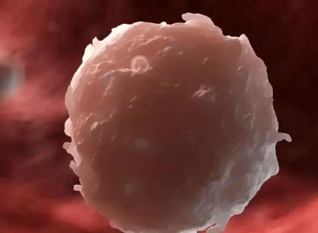 cc8e1a66aa192f7e6bbd674d403e4994.png 白血病最多能活几年