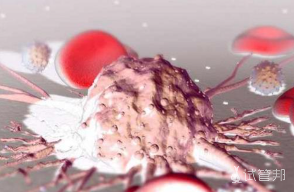 d345b8c088f7b35854016f06b63ceea8.png 白血病可以治愈吗