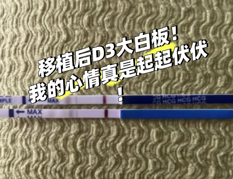 试管移植第3天了心情起起伏伏