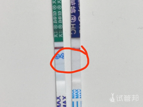 0416109684bbb86879c3ca376065039c.png 大龄备孕的奇妙旅程我的怀孕“与众不同”症状分享