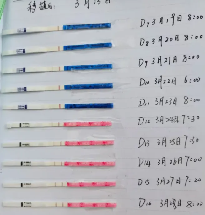 16f99cd674aed8fe268d1cf5b8b65480.png 宫腔人工授精全攻略超详细流程+费用+时间线助你轻松好孕