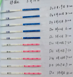 宫腔人工授精全攻略！超详细流程+费用+时间线，助你轻松好孕！