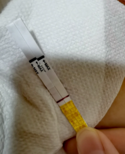 试管开奖成功，分享下流程吧