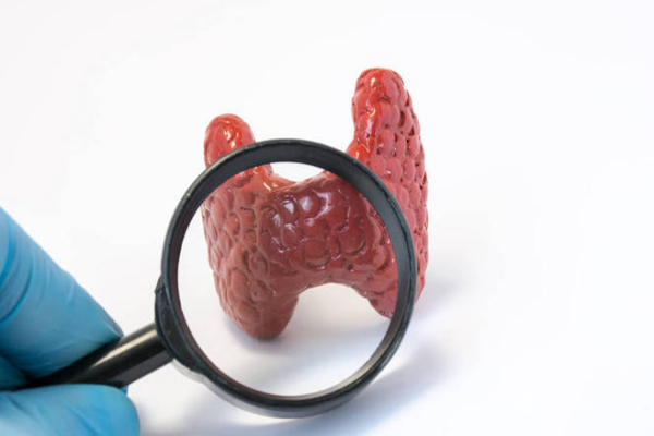 96be0b33a068273f5ae1642c91e1a601.png 甲状腺疾病有哪些症状