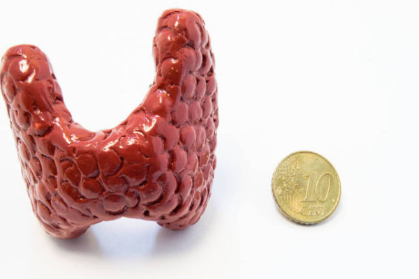 7a11b5c79c934db07a79d5d4cbd83d55.png 甲状腺结节4a是什么意思