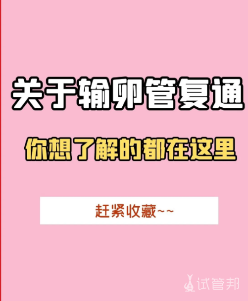 0cb5bb50044605cd534fa7a66611e52e.png 输卵管复通前看看这些