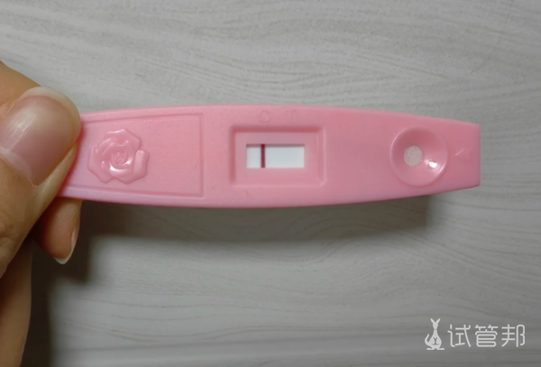 5387975542cbc941dc7c204d821a56b9.png 试管十年心路历程从四次跌倒到一次圆满我的逆袭之路