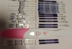 【试管日记】二移失败后的碎碎念与重生计划！