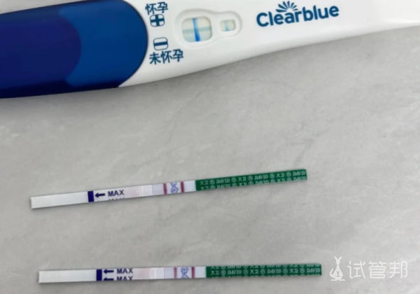 bb1467b9f28b50ba3152ef091d0510fd.png 试管成功日记一次幸运又艰辛的“好孕”之旅