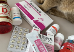 试管路上的小确幸，胚胎质量提升秘籍大公开！